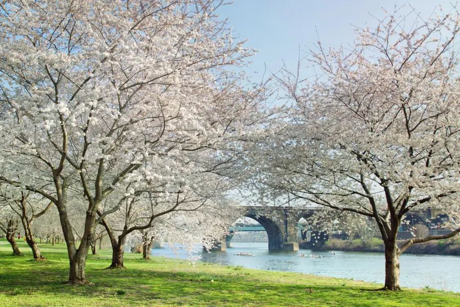 費爾芒特公園