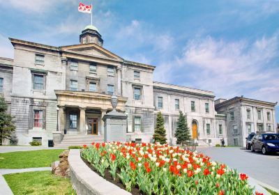 McGill University