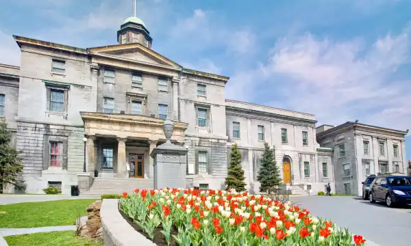 Hotels near McGill University