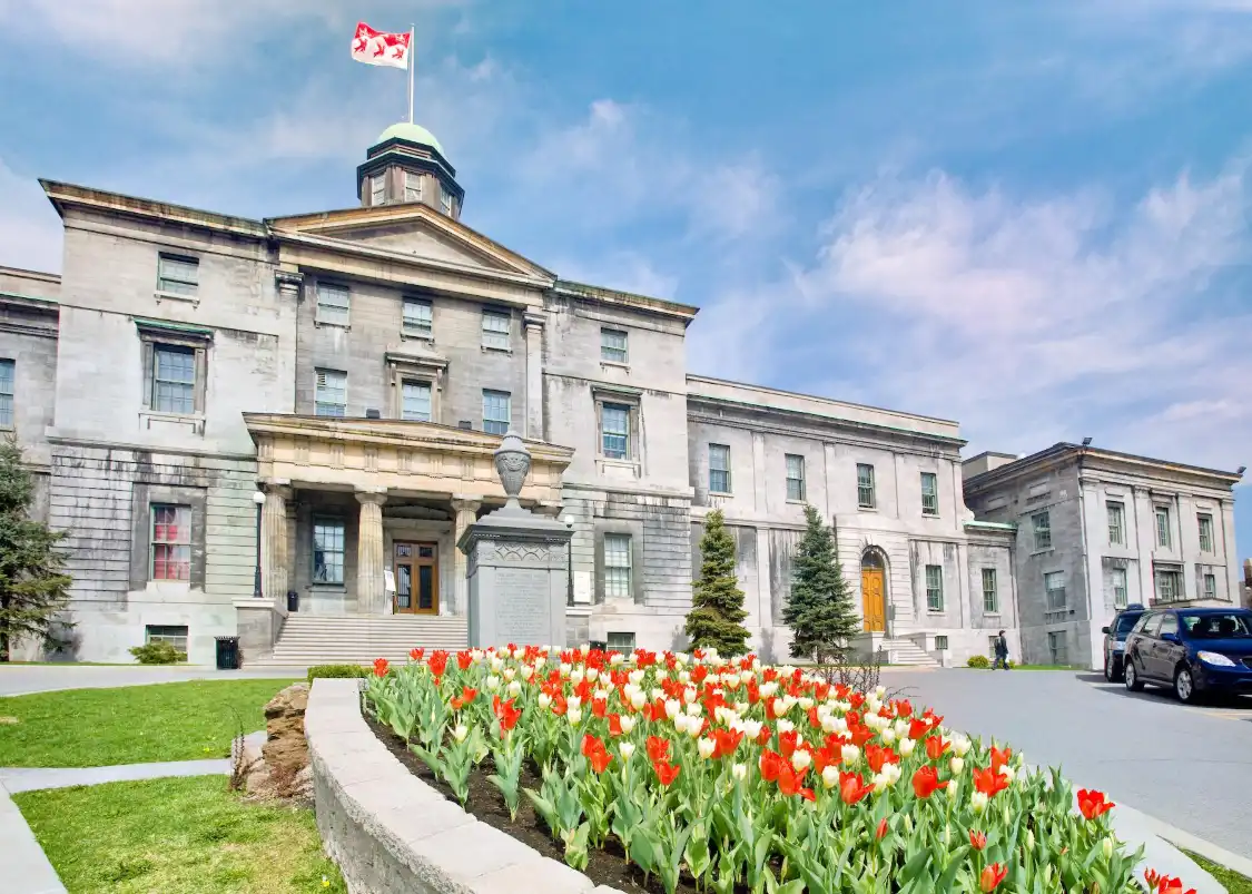 Hotels near McGill University