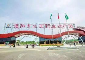 Dongbeizhuang Yesheng Zoo