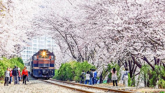 Changwon-si