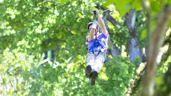 Jungle Flight Chiang Mai