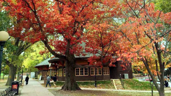 布希內爾公園