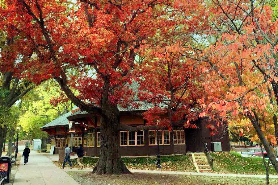 布希內爾公園