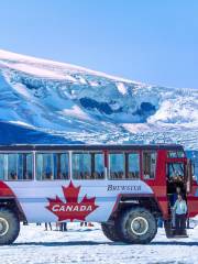 Columbia Icefield Glacier Adventure