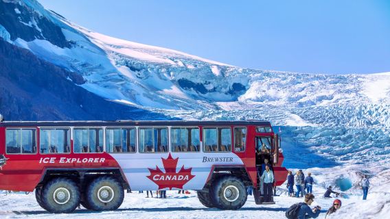 Columbia Icefield Adventure