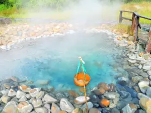 Tang Feng Hot Spring Resort