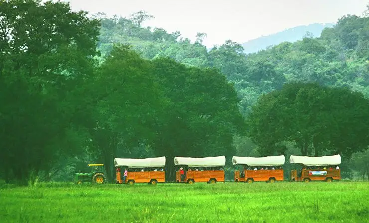 Farm Chokchai (ท่องเที่ยวฟาร์มโชคชัย)