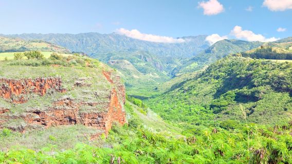 Đảo Kauai