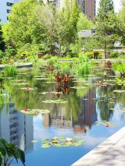 Denver Botanic Gardens