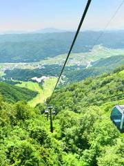 白馬五竜高山植物園