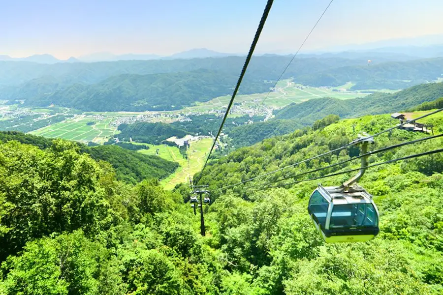 白馬五竜高山植物園