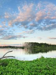 Tommy Thompson Park