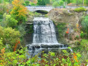 Albion Falls