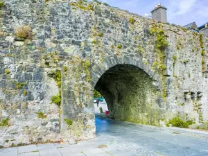 Arco español de Galway