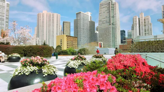 耶爾巴布埃納花園
