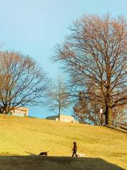 Federal Hill Park