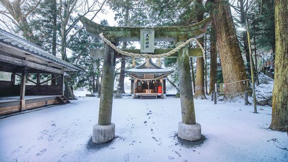 Tenso shrine (next to Kirin lake )