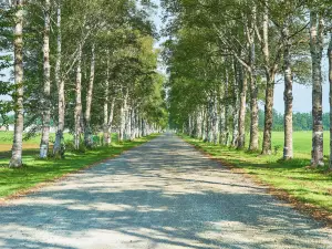 Tokachi Ranch