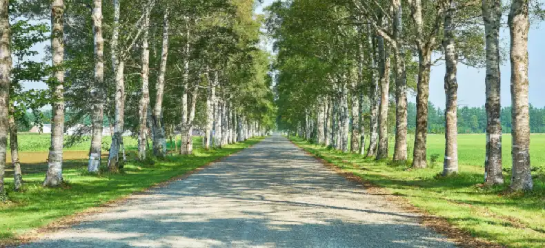 音更町のホテル