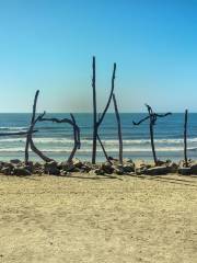 Hokitika Beach Sign