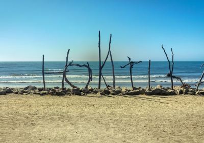 Hokitika Beach Sign