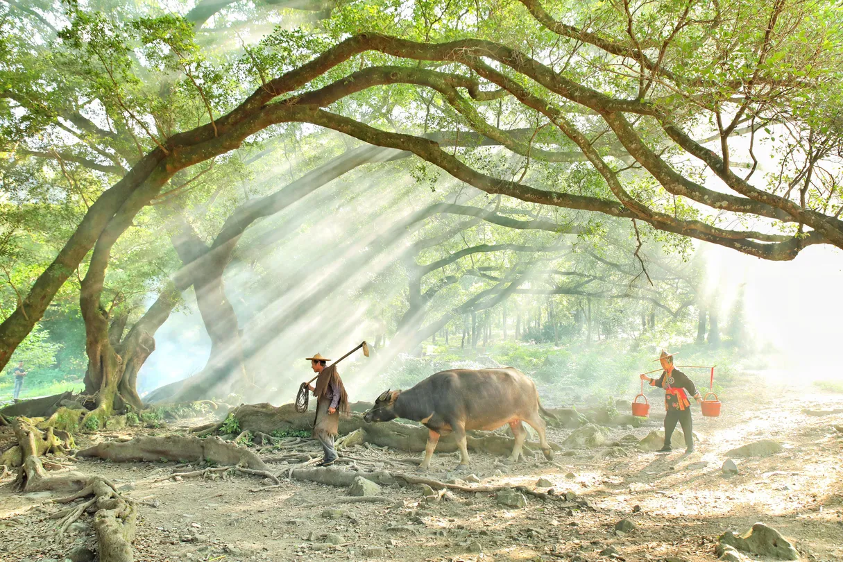 2_หยางเจียซิ