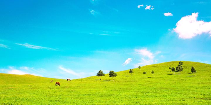 Zhangbei Bashang Grassland