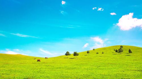 Bashang Grasslands