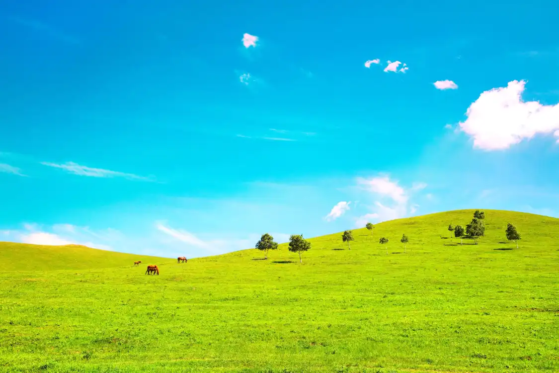 Hotels near Zhangbei Bashang Grassland