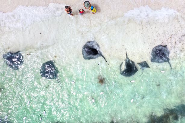 Hamelin Bay