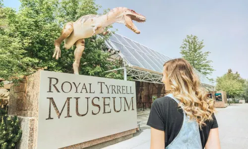 Museo reale Tyrrell