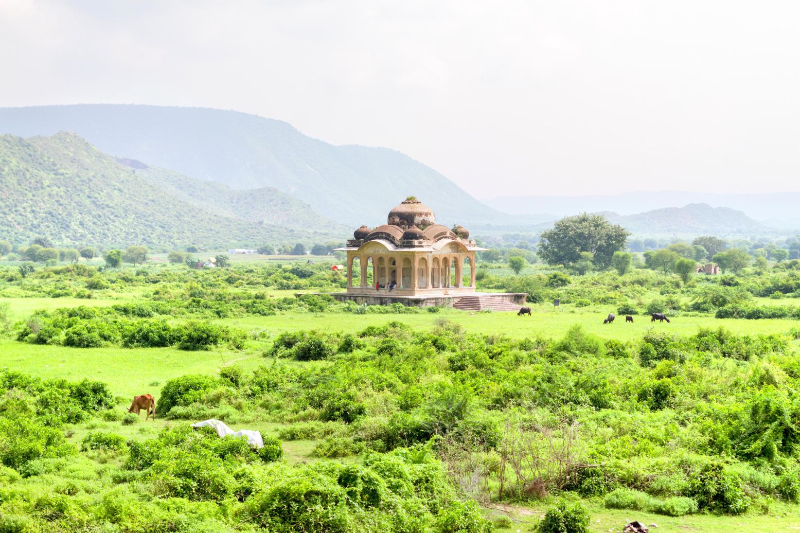 Compare 5 airports near Alwar