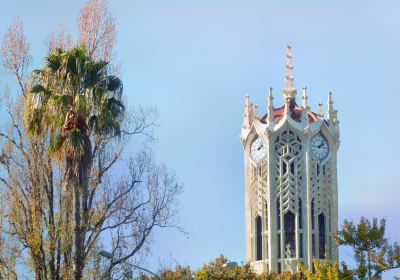 The University of Auckland