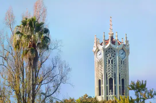 Hotels near The University of Auckland