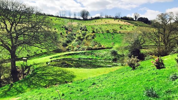 Devon