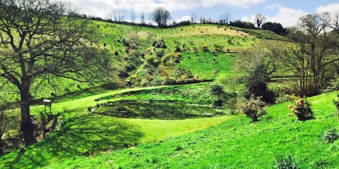 Fast Rabbit Farm Gardens