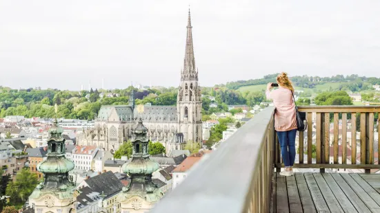 Mariendom Linz