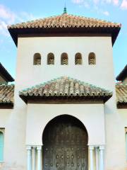 Palacio de Alcazar Genil