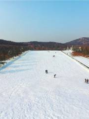 雪山彩虹谷森林滑雪場