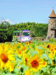 Awaji Farm Park England Hill