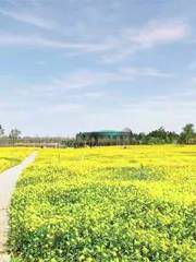 Shennong Modern Agriculture Demonstration Park