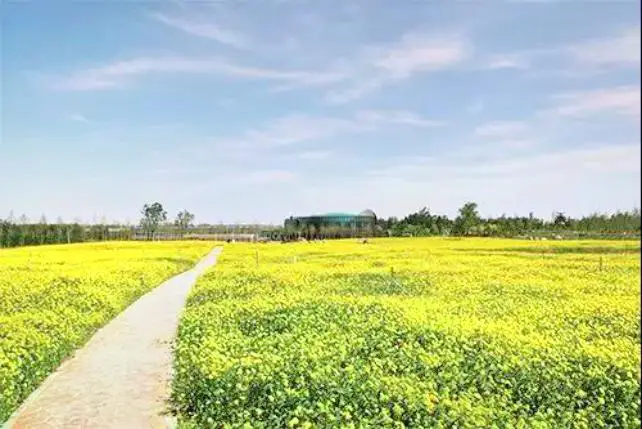 Shennong Modern Agriculture Demonstration Park