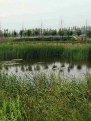 Wulihe Wetland Park