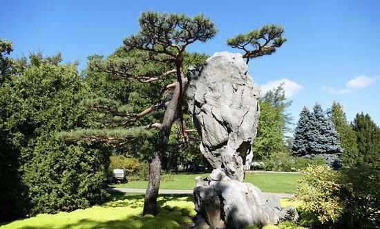 Le Jardin des Plantes