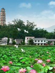Snail Mountain Observation Tower, Kaijiang Lotus World