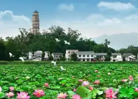 Snail Mountain Observation Tower, Kaijiang Lotus World