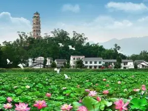 Snail Mountain Observation Tower, Kaijiang Lotus World