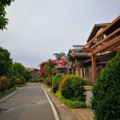 佛冈碧桂园假日温泉酒店(官方直营店)·餐厅 User Photo